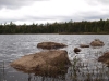 Deer Pond